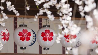 京都の桜を見るなら外せない！旅のプロが選ぶ10の名所