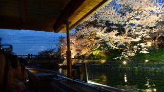 風情あふれる「京都の夜」を楽しむ方法【2017年版】