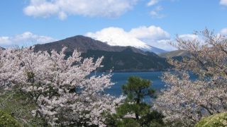 遅咲きの桜が楽しめる東京近郊のお花見スポット8選