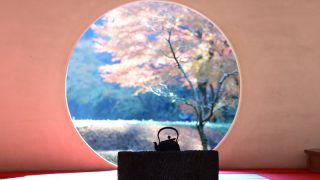 鎌倉の「絵になる」紅葉スポット5選【2017年版】