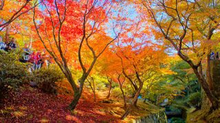 今年こそ行きたい！京都の紅葉名所ベスト5と温泉