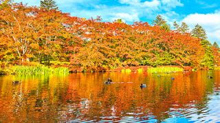 軽井沢で紅葉狩り！温泉も食事も、欲張りモデルコース