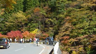 埼玉一美しい紅葉！秩父・中津峡で秋の絶景＆味覚巡り