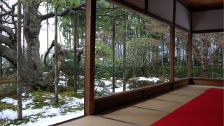 京都の庭園　ゆったりお庭鑑賞は一人旅がおすすめ
