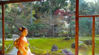 京都・即宗院と妙覺寺へ 特別公開のお寺を巡る旅