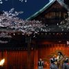 都内の穴場夜桜スポット・靖国神社「奉納夜桜能」