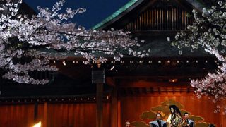 都内の穴場夜桜スポット・靖国神社「奉納夜桜能」