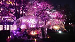 東京・大人の桜デートにおすすめなスポット5選！2018