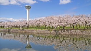 北海道の桜名所はココ！お花見スポット5選【2018】