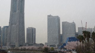 雨の日は横浜でお得に観光！ 横浜の雨の日サービスまとめ2018年