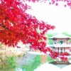 奈良の紅葉2018！おすすめ名所や見頃時期、ライトアップ情報