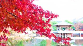 奈良の紅葉2018！おすすめ名所や見頃時期、ライトアップ情報